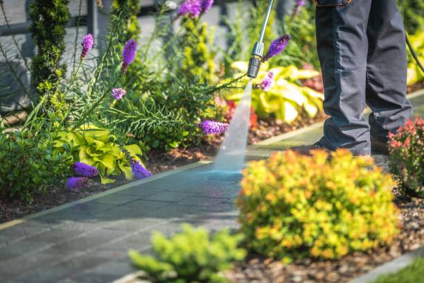 Trusted Lockwood, MO Pressure Washing Services Experts