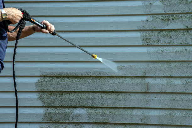 Best Soft Washing for Delicate Surfaces in Lockwood, MO